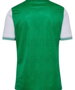Alternative view of AS Saint-Étienne 2025/2026