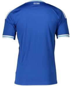 Alternative view of RC Strasbourg 2025/2026