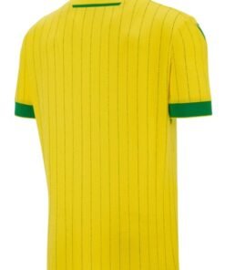 Alternative view of FC Nantes 2025/2026