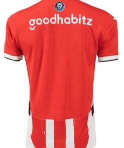 Alternative view of PSV Eindhoven 2025/2026