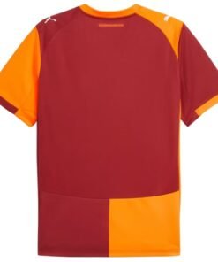 Alternative view of Galatasaray 2025/2026