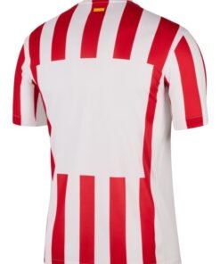 Alternative view of Atlético de Madrid 2025/2026