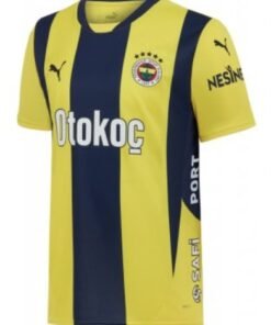 Fenerbahçe 2024/2025