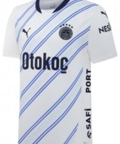 Alternative view of Fenerbahçe 2024/2025